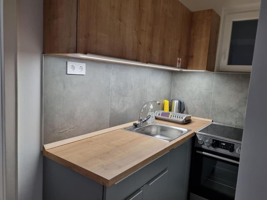 Downtown Studio Apartman Pécs Eksteriør billede