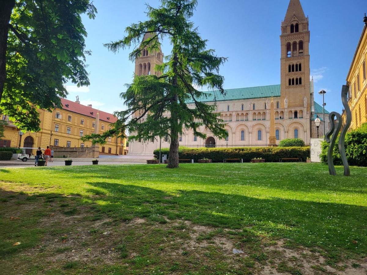 Downtown Studio Apartman Pécs Eksteriør billede
